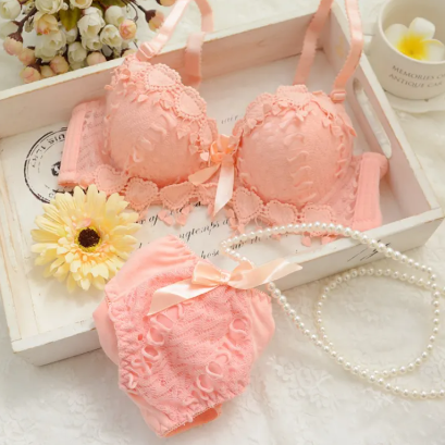 Push Up Lace Bra Panty Set Comfortable Stylish Floral Embroidery Lingerie Set