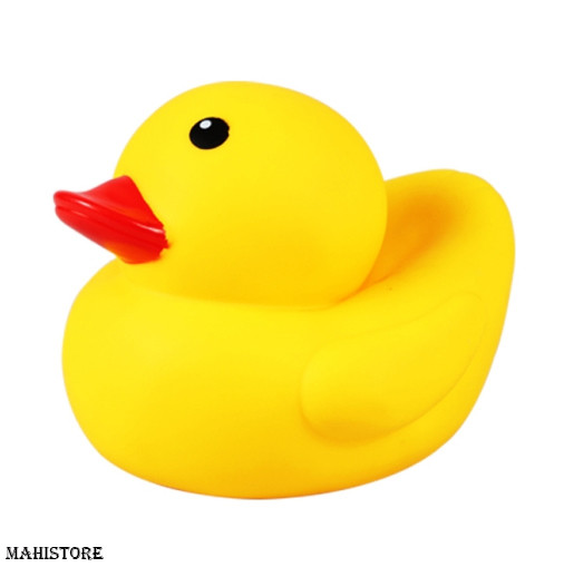 Playtime Big Duck toy