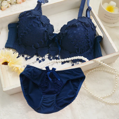 Push Up Lace Bra Panty Set Comfortable Stylish Floral Embroidery Lingerie Set