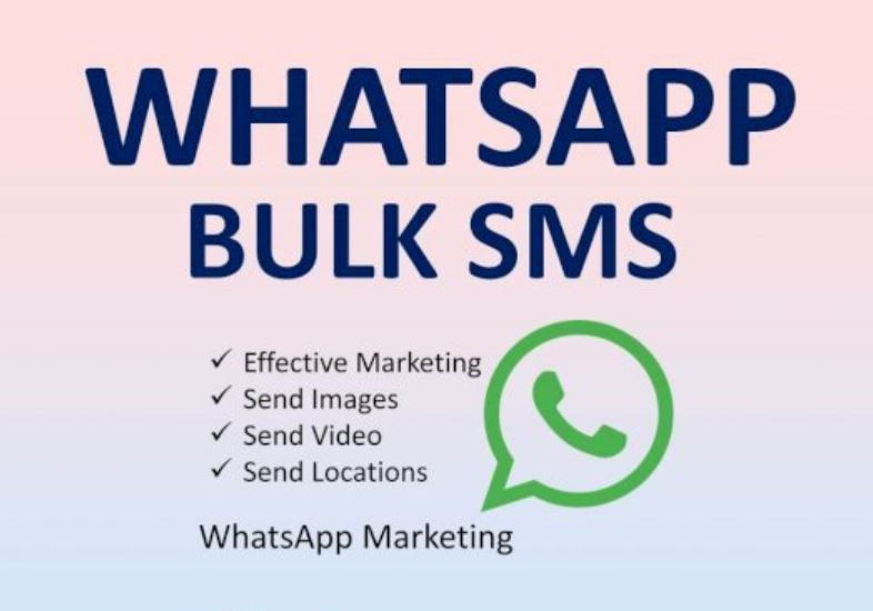 Best Bulk WhatsApp Marketing Software